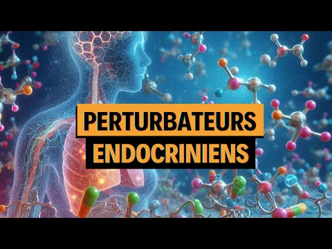 Comprendre et se protéger des perturbateurs endocriniens