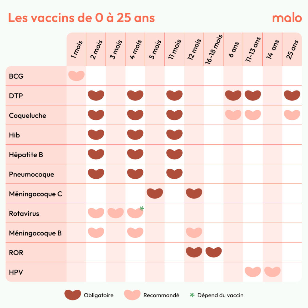 Calendrier des vaccins de 0 à 25 ans de l'app Malo